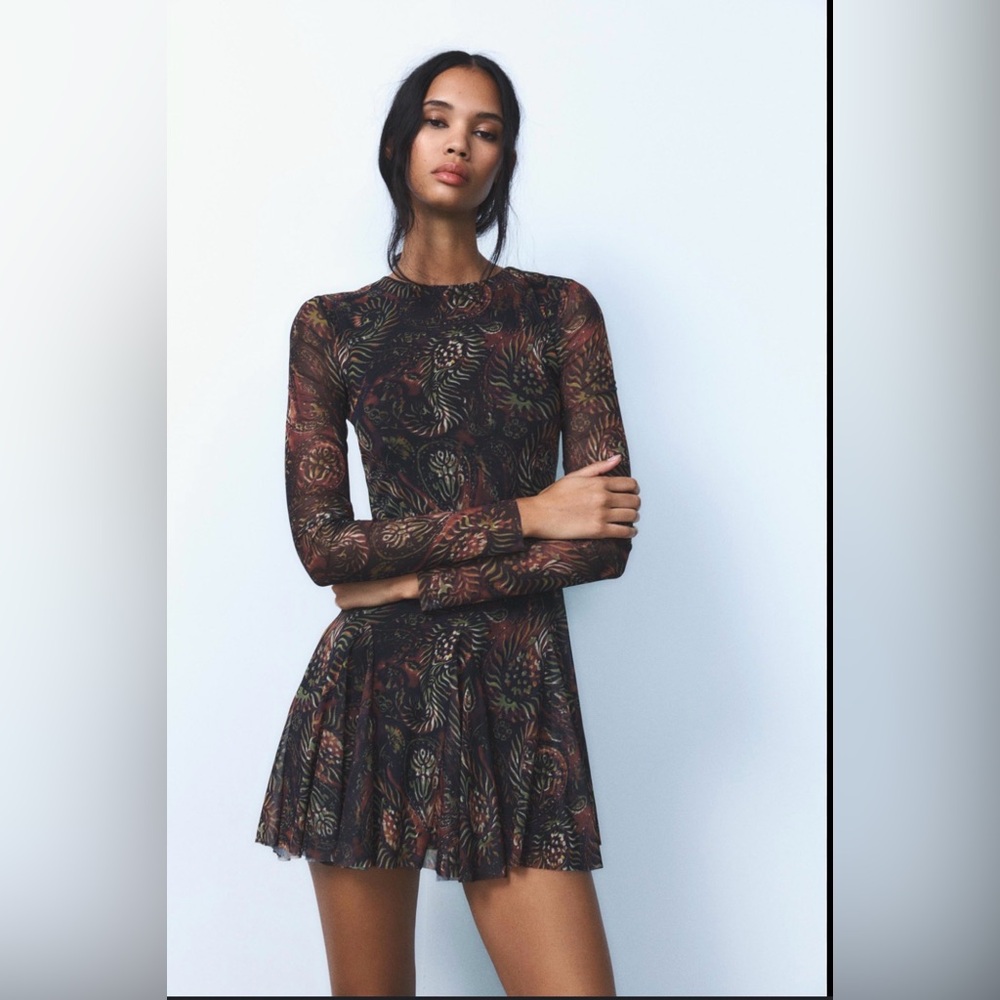 Zara Black and Brown Long Sleeve Dress